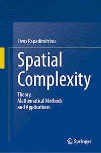 Spatial Complexity - Fivos Papadimitriou - E-Book