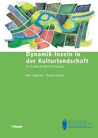 Dynamik-Inseln in der Kulturlandschaft - Paul Stegmann - E-Book