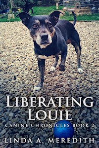 Liberating Louie - Linda A. Meredith - E-Book