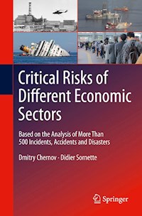 Critical Risks of Different Economic Sectors - Dmitry Chernov - E-Book