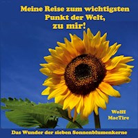 Meine Reise zum wichtigsten Punkt der Welt, zu mir! - Wolff MacTire - E-Book