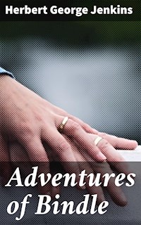 Adventures of Bindle - Herbert George Jenkins - E-Book