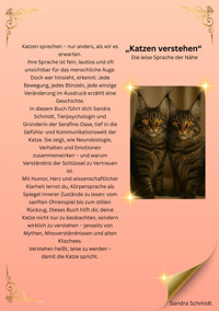 Katzen verstehen - Sandra  Schmidt - E-Book