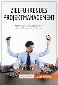 Zielführendes Projektmanagement - Nicolas Zinque - E-Book