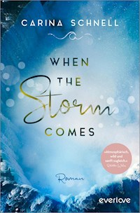 When the Storm Comes - Carina Schnell - E-Book