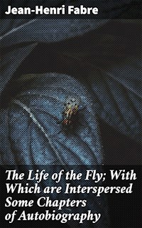 The Life of the Fly; With Which are Interspersed Some Chapters of Autobiography - Jean-Henri Fabre - E-Book