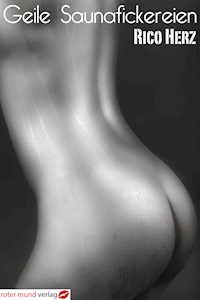 Geile Saunafickereien - Rico Herz - E-Book