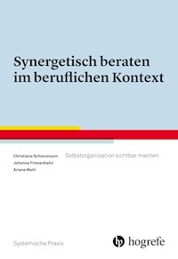 Synergetisch beraten im beruflichen Kontext - Christiane Schiersmann - E-Book