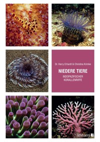 Niedere Tiere indopazifischer Korallenriffe - Harry Erhardt - E-Book
