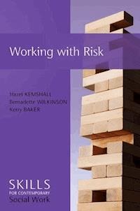 Working with Risk - Hazel Kemshall - E-Book