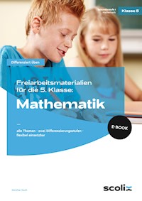 Freiarbeitsmaterialien f. d. 5. Klasse: Mathematik - Günther Koch - E-Book