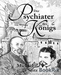 Der Psychiater des Königs - Michael Seitz - E-Book
