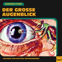 Der große Augenblick - Manfred Kyber - Hörbuch