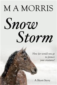 Snow Storm - M A Morris - E-Book