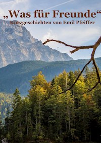 Was für Freunde - Emil Pfeiffer - E-Book