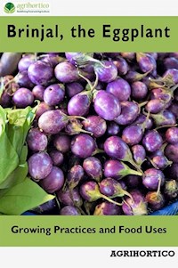 Brinjals, the Eggplant - Agrihortico CPL - E-Book