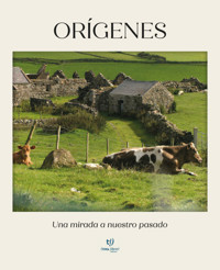 Orígenes - Héctor Sepulveda - E-Book