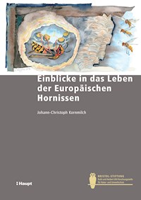 Einblicke in das Leben der Europäischen Hornisse - Johann-Christoph Kornmilch - E-Book
