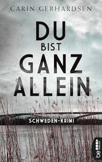 Du bist ganz allein - Carin Gerhardsen - E-Book