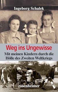 Weg ins Ungewisse - Ingeborg Schalek - E-Book