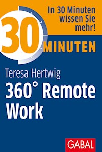 30 Minuten 360° Remote Work - Teresa Hertwig - E-Book