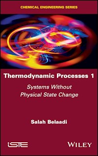 Thermodynamic Processes 1 - Salah Belaadi - E-Book
