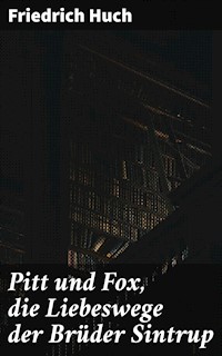 Pitt und Fox, die Liebeswege der Brüder Sintrup - Friedrich Huch - E-Book