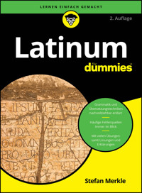 Latinum für Dummies - Stefan Merkle - E-Book