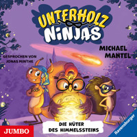 Unterholz-Ninjas. Die Hüter des Himmelssteins [Band 2] - Michael Mantel - Hörbuch