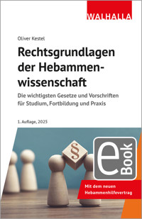 Rechtsgrundlagen der Hebammenwirtschaft - Oliver Kestel - E-Book