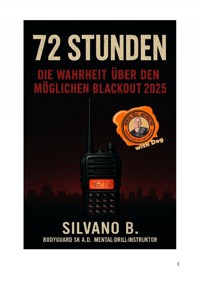 72 Stunden - Die Wahrheit über den möglichen Blackout 2025 - Silvano B - E-Book