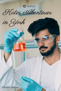 Kates Abenteuer in York - Sandra Goldoni - E-Book