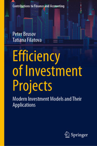 Efficiency of Investment Projects - Peter Brusov - E-Book