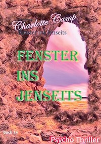 Fenster ins Jenseits - Charlotte Camp - E-Book