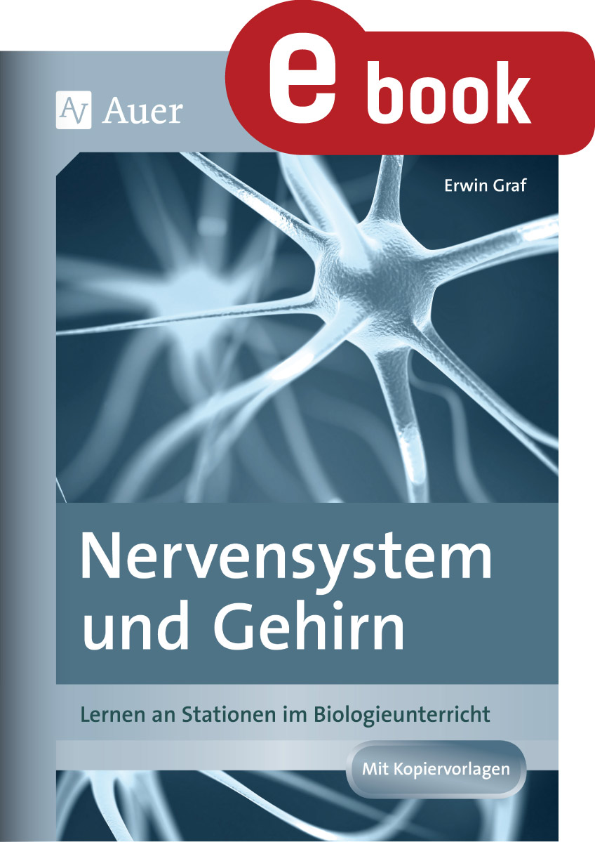 Nervensystem und Gehirn - Erwin Graf - E-Book