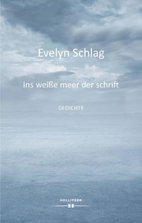 ins weiße meer der schrift - Evelyn Schlag - E-Book