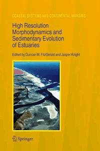 High Resolution Morphodynamics and Sedimentary Evolution of Estuaries - - E-Book