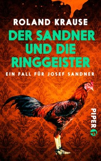 Der Sandner und die Ringgeister - Roland Krause - E-Book