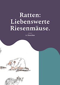 Ratten: Liebenswerte Riesenmäuse. - Ketschau A. - E-Book