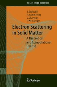 Electron Scattering in Solid Matter - Jan Zabloudil - E-Book