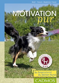 Motivation pur - Rolf C. Franck - E-Book