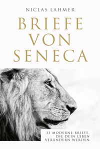 Briefe von Seneca - Niclas Lahmer - E-Book