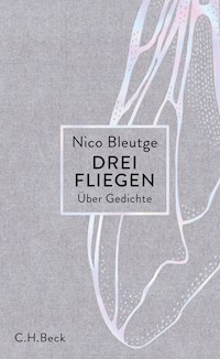 Drei Fliegen - Nico Bleutge - E-Book