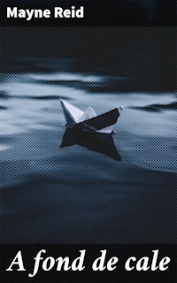 A fond de cale - Mayne Reid - E-Book