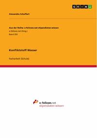 Konfliktstoff Wasser - Alexandra Schaffert - E-Book