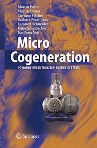Micro Cogeneration - Martin Pehnt - E-Book