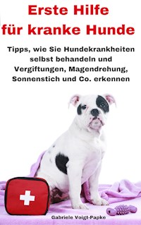 Erste Hilfe für kranke Hunde - Gabriele Voigt-Papke - E-Book