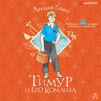 Тимур и его команда - Аркадий Гайдар - Hörbuch