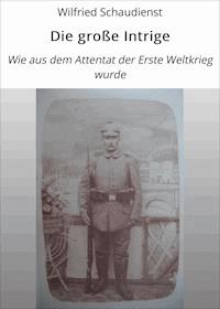 Die große Intrige - Wilfried Schaudienst - E-Book
