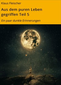 Aus dem puren Leben gegriffen Teil 5 - Klaus Fleischer - E-Book